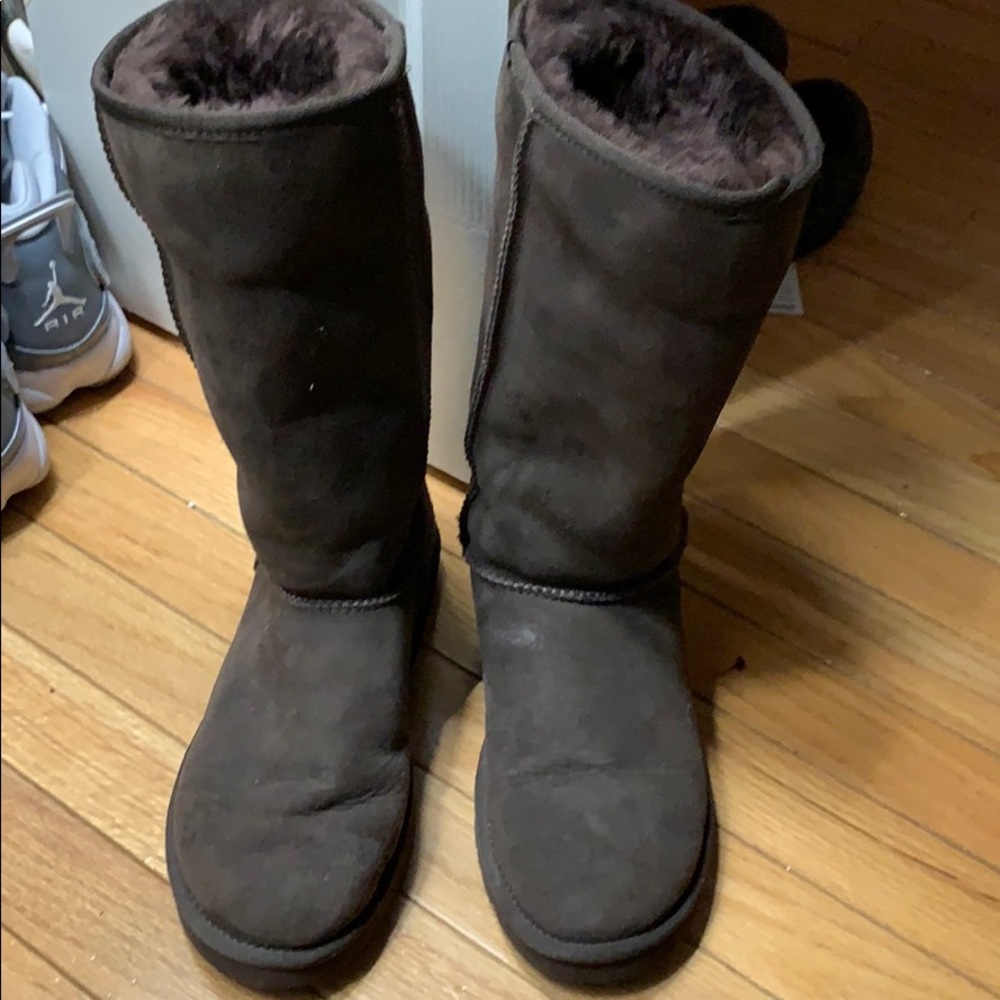 Size 7 Tall Brown UGGs